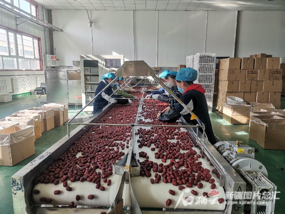 沛然公司完成红枣制品生产线全面升级